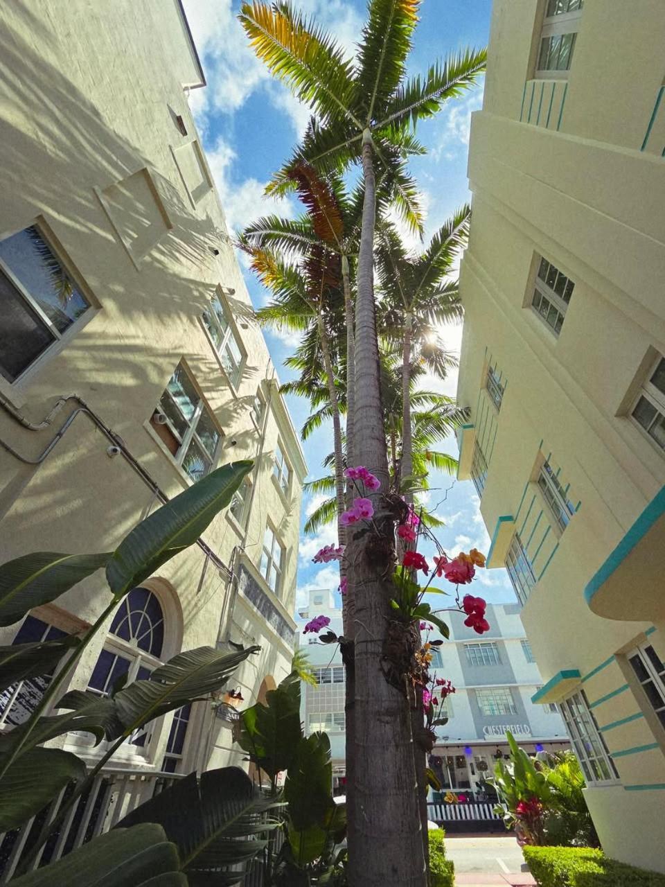 Luxuri Suites Miami Beach Kültér fotó